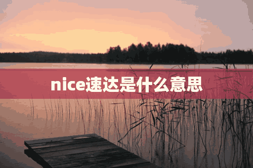 nice速达是什么意思